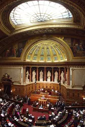 Sous le dôme du Sénat - crédits : © Jean-Pierre Muller/ AFP