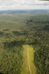 Forêt amazonienne, Brésil - crédits : Sue Cunningham Photographic/ Alamy/ Hemis