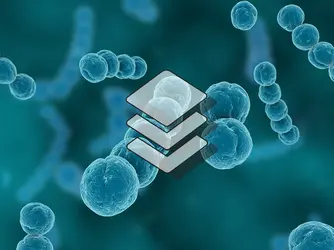 bactérie - crédits : © Sebastian Kaulitzki/ Shutterstock