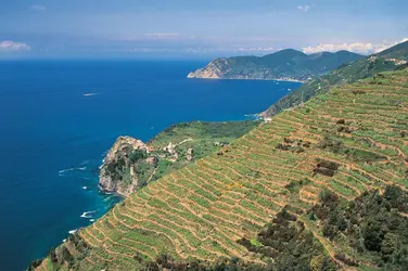 Paysage d'Italie - crédits : M.Santini/ De Agostini/ Getty Images