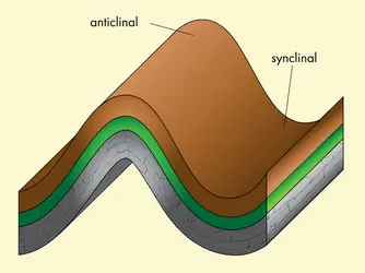 Anticlinal et synclinal - crédits : © Encyclopædia Universalis France