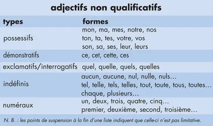 Adjectifs non qualificatifs - crédits : © Encyclopædia Universalis France