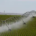 Irrigation - crédits : © Francis Dean/ Corbis Historical/ Getty Images