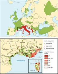Risques de dengue en Europe - crédits : Encyclopædia Universalis France