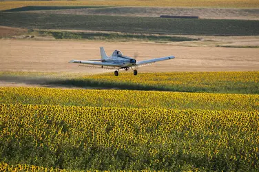 Épandage de pesticides par avion - crédits : © D. Landwehrle/ Shutterstock
