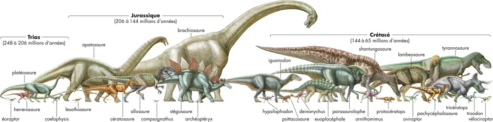 Dinosaures - crédits : © Encyclopædia Universalis France