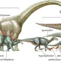 Dinosaures - crédits : © Encyclopædia Universalis France