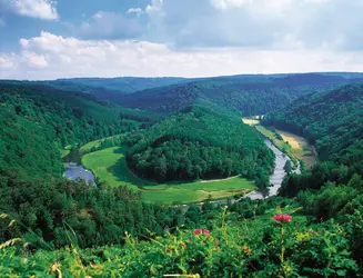 Massif de l'Ardenne, Belgique - crédits : © David Noble Photography/Alamy