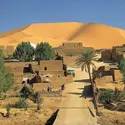 Oasis en Algérie - crédits : © V. Englebert