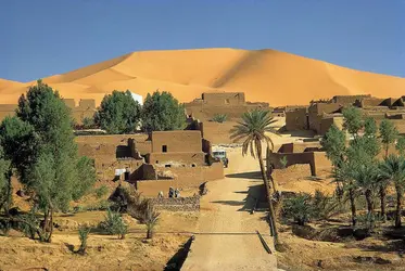 Oasis en Algérie - crédits : © V. Englebert