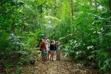 Écotourisme au Costa Rica - crédits : Martin Shields/ Alamy/ Hemis