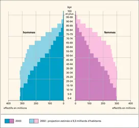 Population mondiale : pyramide des âges - crédits : Encyclopædia Universalis France