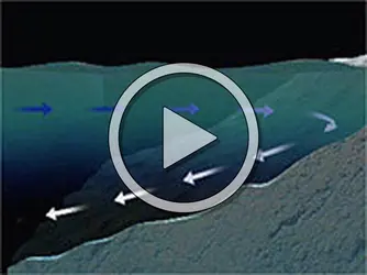 Convection générale des courants marins - crédits : Planeta Actimedia S.A.© Encyclopædia Universalis France pour la version française.