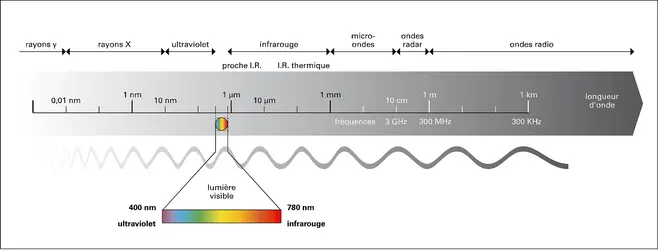 Micro-ondes - crédits : Encyclopædia Universalis France