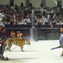 Gladiator, film de Ridley Scott - crédits : © J. Buitendijk/ 1999 Universal Studios and Dreamworks LLC