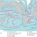 Principaux courants marins - crédits : Encyclopædia Universalis France