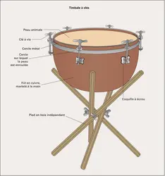 Timbale - crédits : Éditions J.M. Fuzeau (Courlay, France)