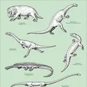 Reptiles du Trias - crédits : Encyclopædia Universalis France