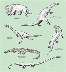 Reptiles du Trias - crédits : Encyclopædia Universalis France