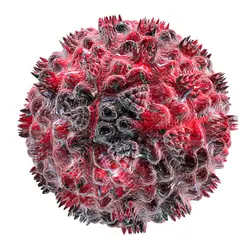 Virus responsable du SIDA - crédits : © F. Oleksiy/ Shutterstock
