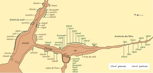 Plan de la grotte de Lascaux, Dordogne - crédits : Encyclopædia Universalis France