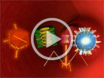 Virus - crédits : Planeta Actimedia S.A.© Encyclopædia Universalis France pour la version française.