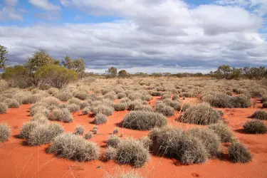 Désert de Victoria, Australie - crédits : © N. Mrtgh/ Shutterstock