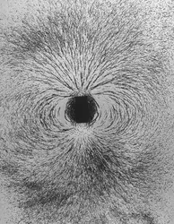 Visualisation d'un champ magnétique - crédits : J. R. Eyerman/ The LIFE Picture Collection/ Getty Images