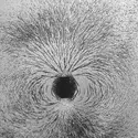 Visualisation d'un champ magnétique - crédits : J. R. Eyerman/ The LIFE Picture Collection/ Getty Images