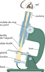 Microscope optique - crédits : © Encyclopædia Britannica, Inc.