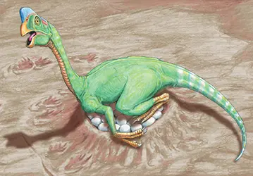 Oviraptor - crédits : © Encyclopædia Britannica, Inc.