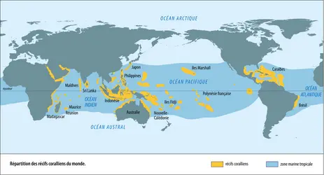 Les récifs coralliens dans le monde - crédits : Encyclopædia Universalis France