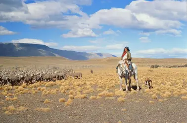 Gaucho en Argentine - crédits : Ascent/ PKS Media Inc./ The Image Bank/ Getty Images