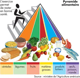 Alimentation équilibrée - crédits : © Encyclopædia Britannica, Inc.
