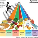 Alimentation équilibrée - crédits : © Encyclopædia Britannica, Inc.