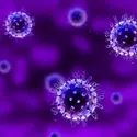 Dessin du virus du sida - crédits : © S. Kaulitzki/ Shutterstock