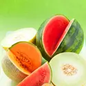 Melons - crédits : © Kolpakova Svetlana/ Shutterstock