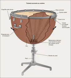 Timbale - crédits : Éditions J.M. Fuzeau (Courlay, France)