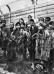Camp d'extermination d'Auschwitz - crédits : Alexander Vorontsov/ Keystone/ Hulton Archive/ Getty Images