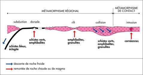 Faciès métamorphiques - crédits : © Encyclopædia Universalis France