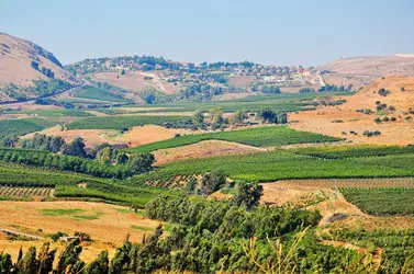 Plateau du Golan - crédits : © Lara75/ Shutterstock