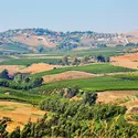 Plateau du Golan - crédits : © Lara75/ Shutterstock