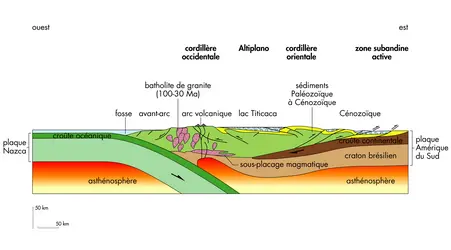 Coupe de la cordillère des Andes - crédits : © Encyclopædia Universalis France