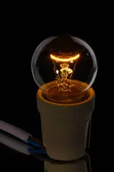 Ampoule à incandescence - crédits : © Africa Studio/ Shutterstock