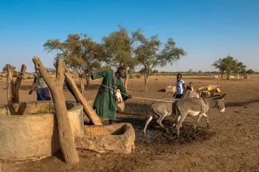 Peuls au Tchad - crédits : 	Godong/ Getty Images