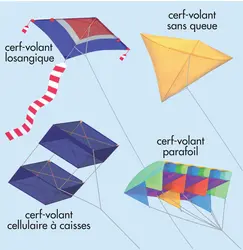 Cerfs-volants - crédits : © Encyclopædia Universalis France