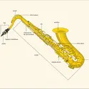 "Saxophone " - crédits : Encyclopædia Universalis France