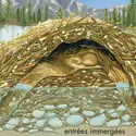 Hutte de castor - crédits : © Encyclopædia Britannica, Inc.