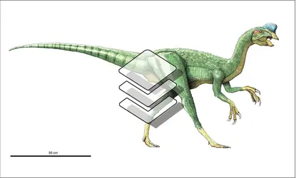dinosaure - crédits : © Encyclopædia Universalis France