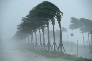 Cyclone Irma, 2017 - crédits : Chip Somodevilla/ Getty Images